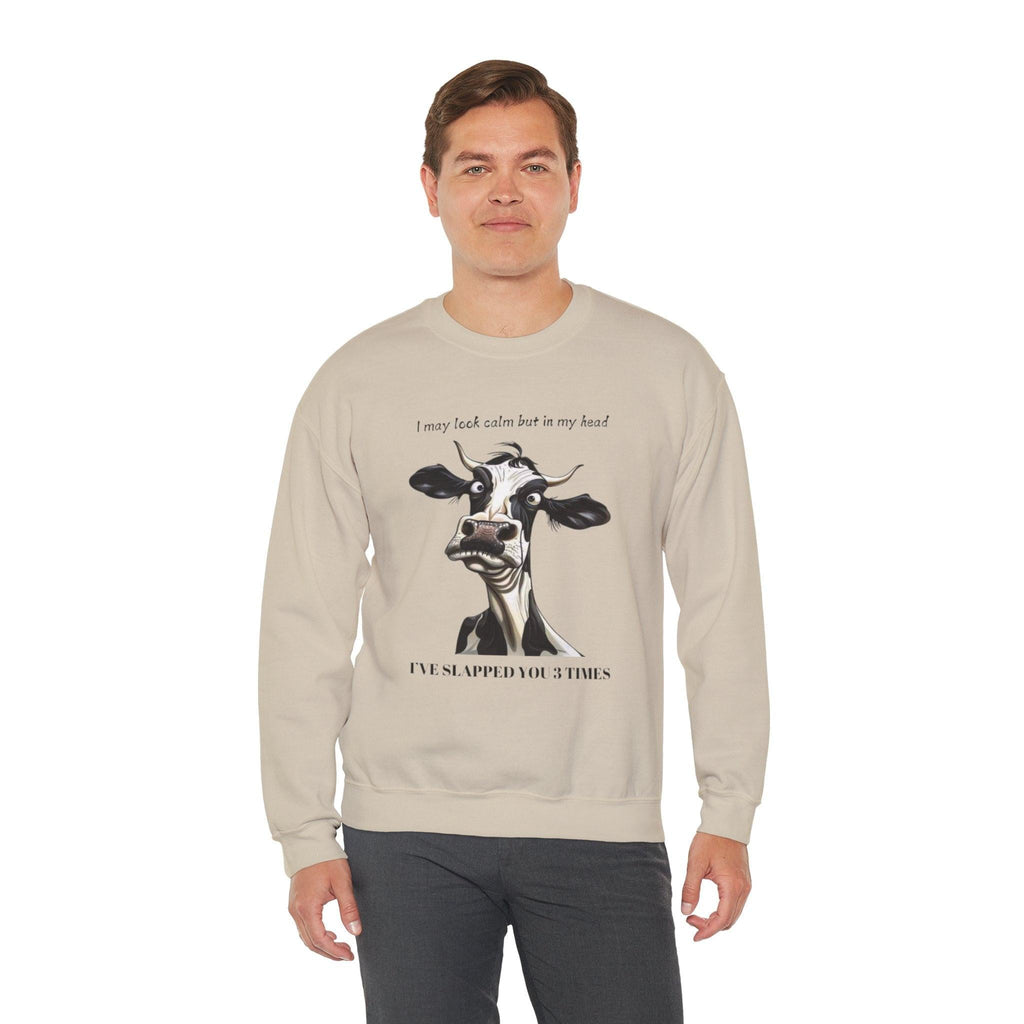 Funny Unisex Sweatshirt - 'I May Seem Calm But In My Head I've Punched You Three Times'