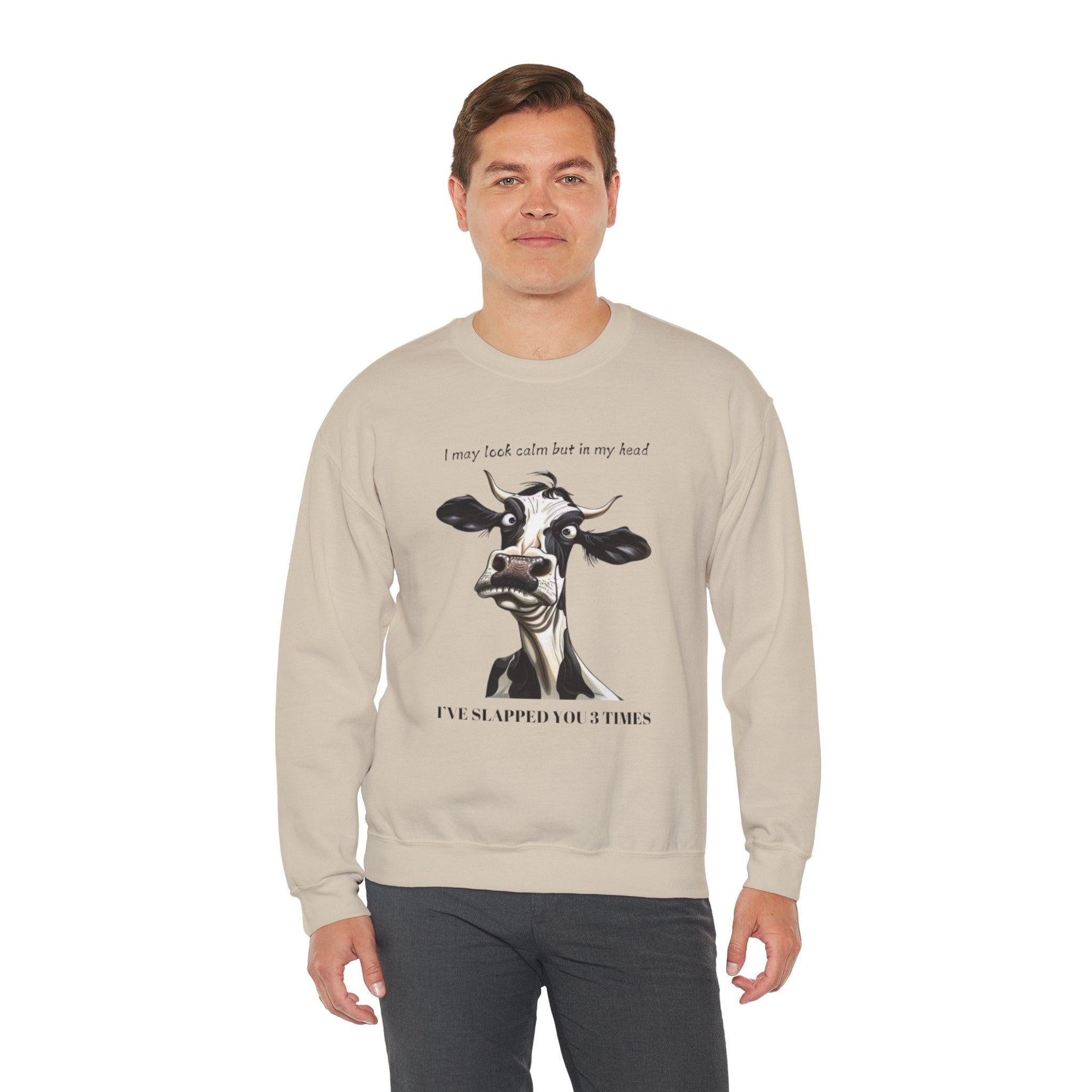 Funny Unisex Sweatshirt - 'I May Seem Calm But In My Head I've Punched You Three Times'