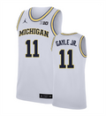 Men's #11 Roddy Gayle Jr Michigan Wolverines College Basketball Jersey