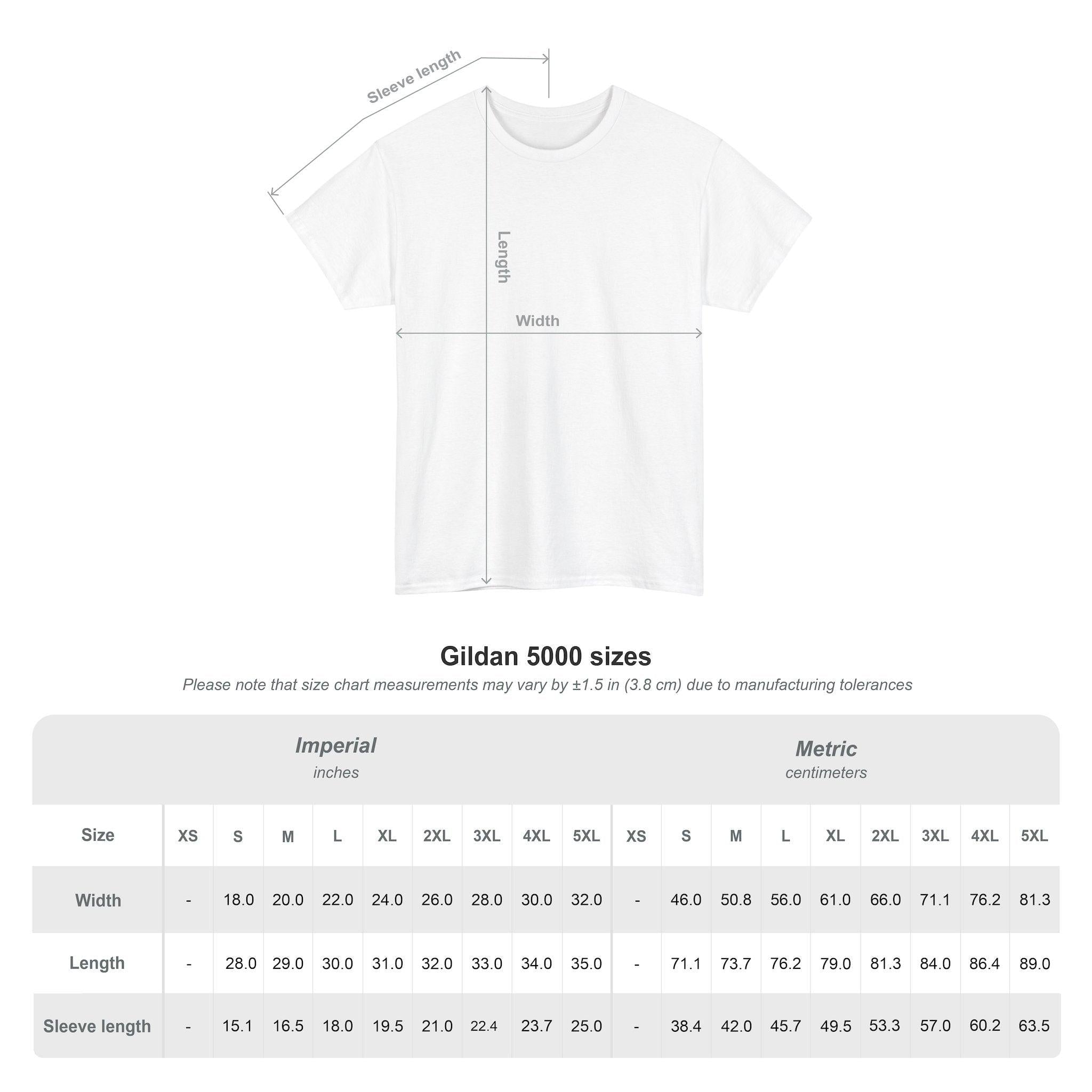 Laverne and Shirley Shlemiel Shlimazel Unisex Heavy Cotton Tee, Classic TV Show Graphic Shirt, Best Friends Gift, Retro 70s Tee, Vintage