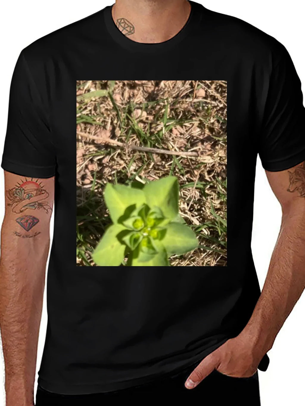 Nature-Inspired Graphic Tee