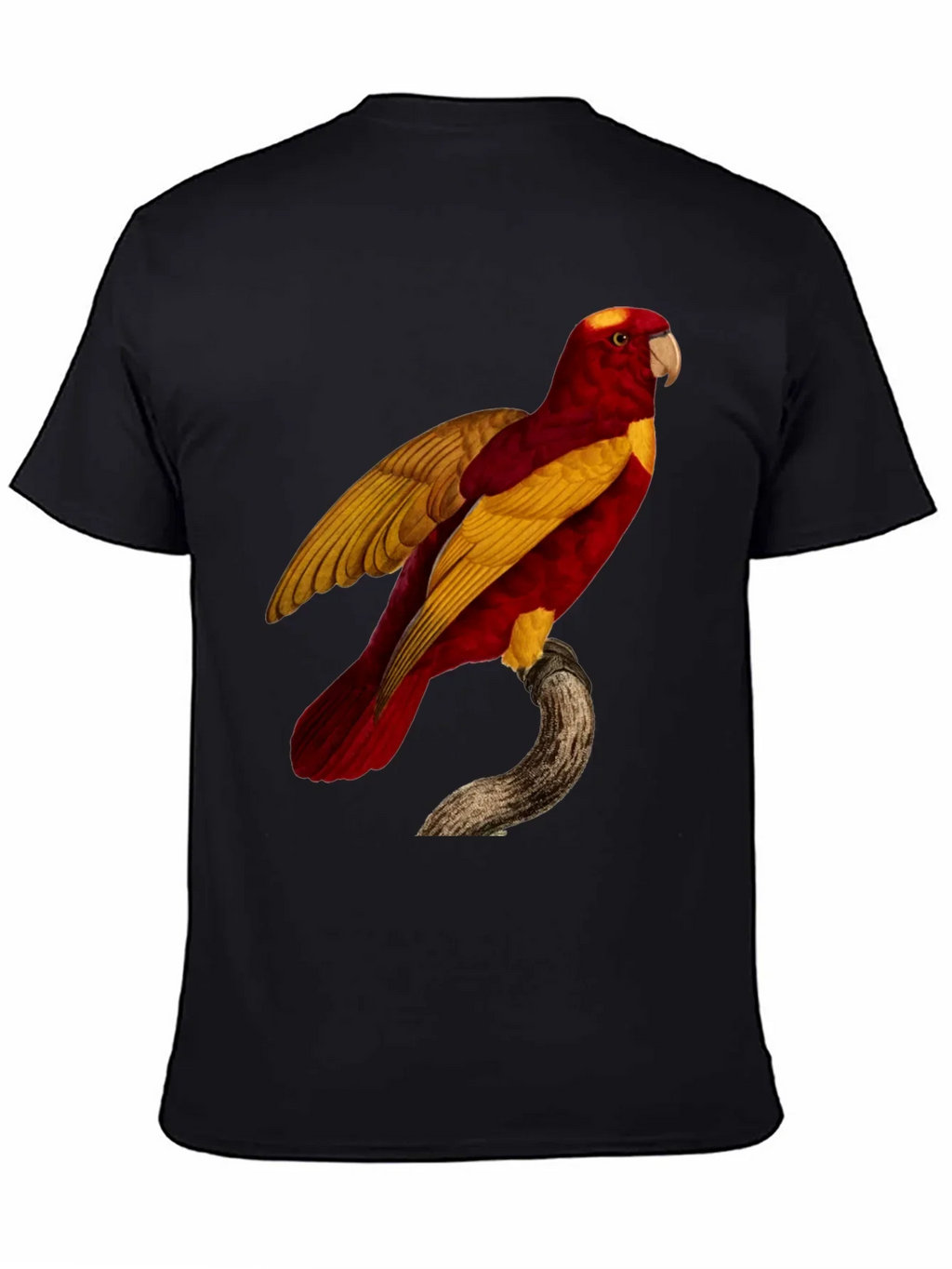 Exotic Parrot Graphic Tee