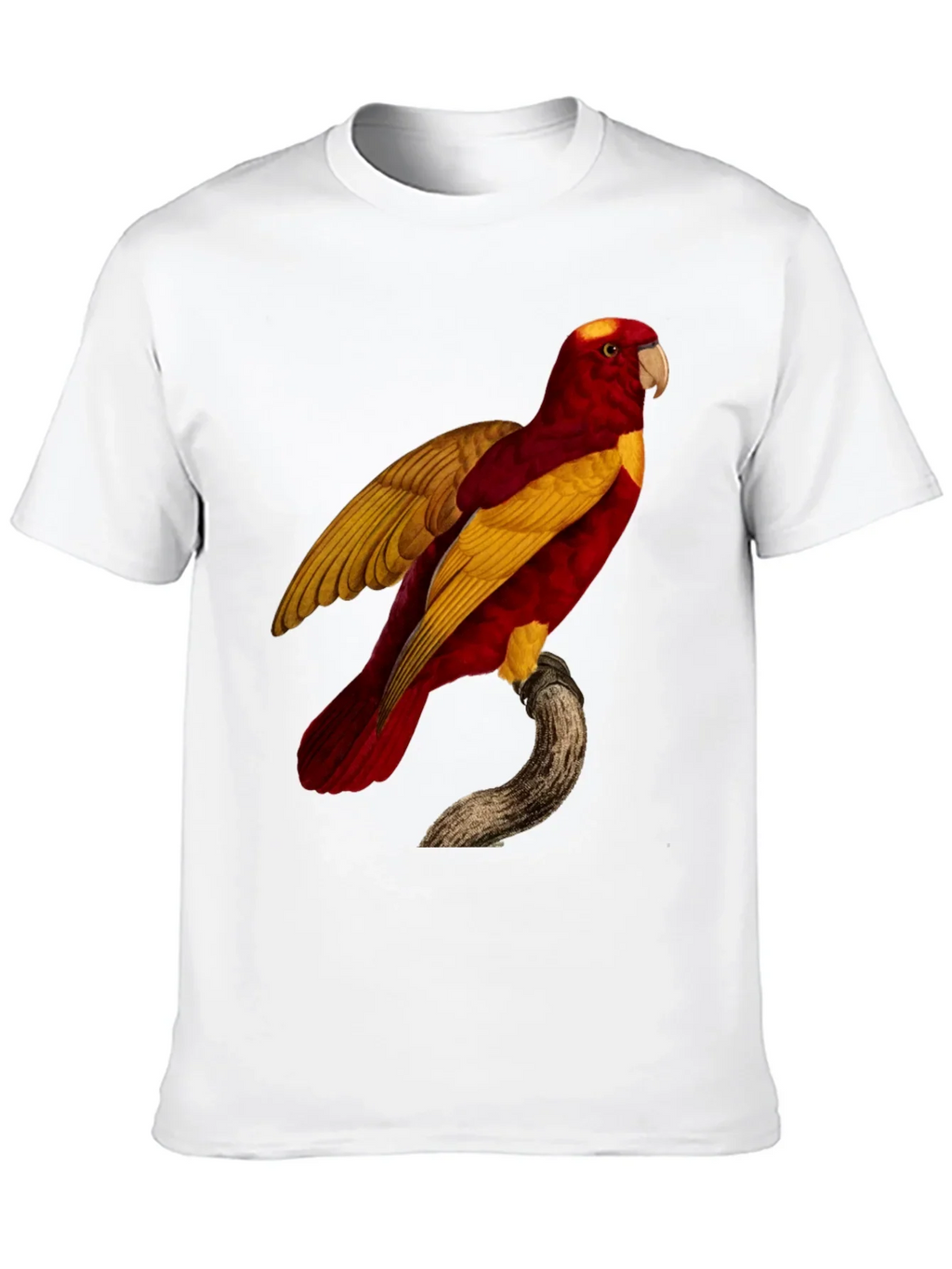 Exotic Parrot Graphic Tee