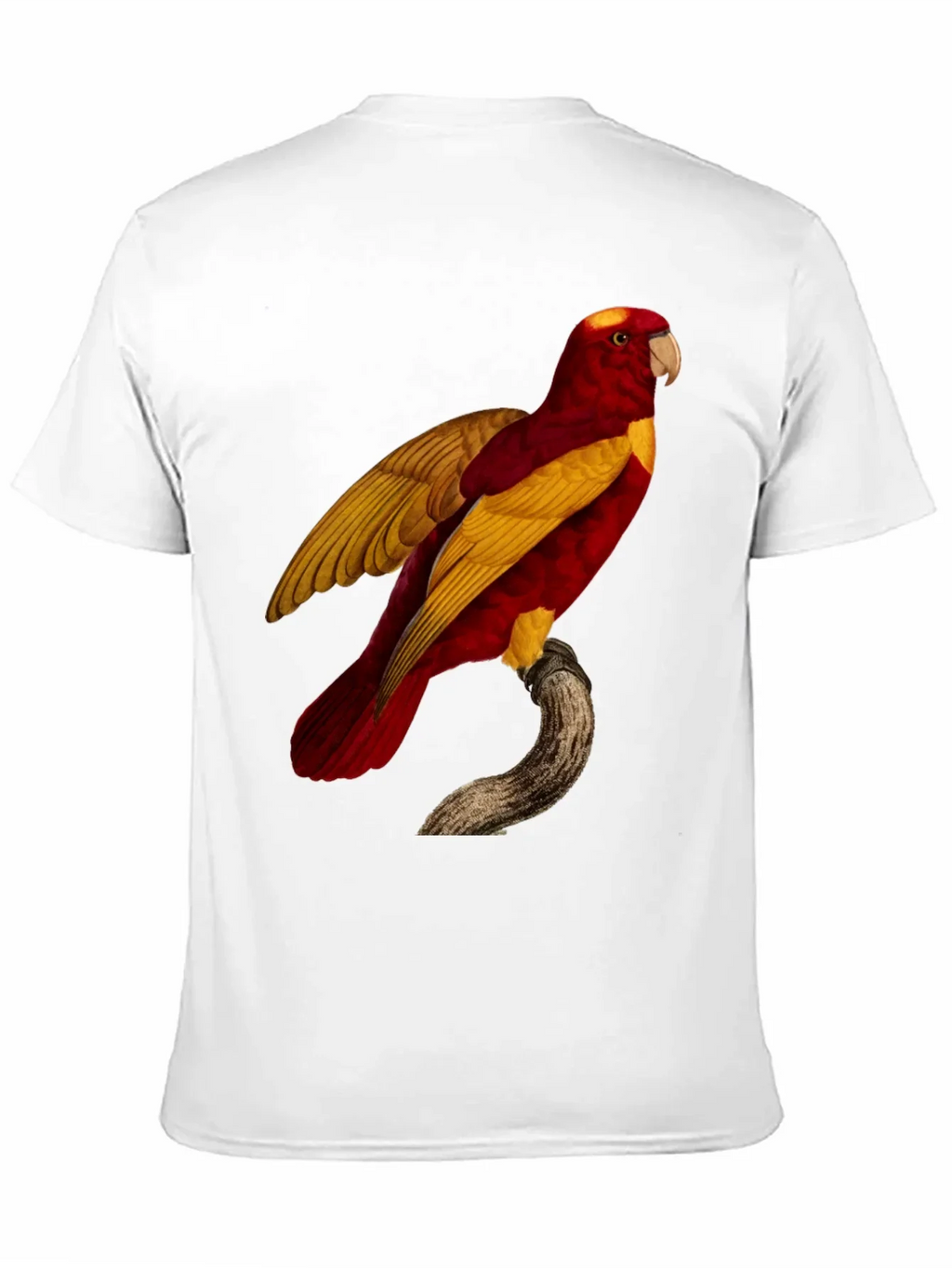 Exotic Parrot Graphic Tee